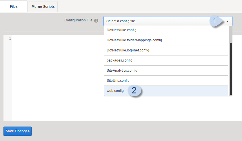 Files dropdown > web.config